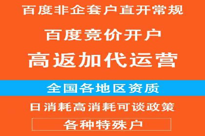 成功案例：如何通过百度推广优化提高转化率